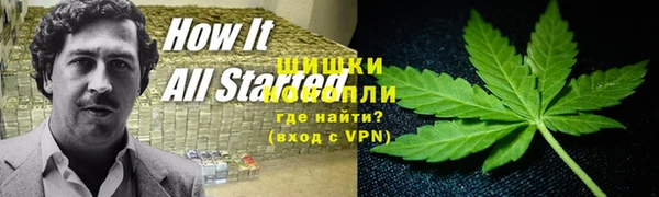 spice Инсар