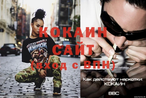 амф Инта