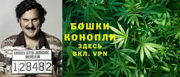амф Инта