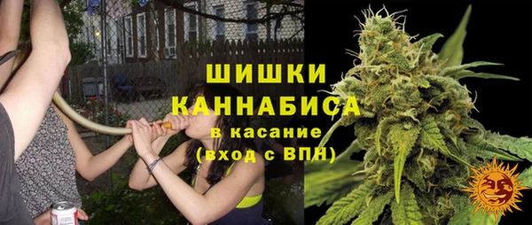 spice Инсар