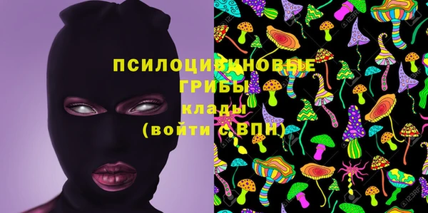 герыч Иннополис