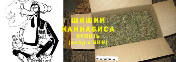 амф Инта