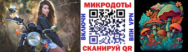 Купить закладки  Арамиль  Псилоцибиновые грибы Psilocybine cubensis 